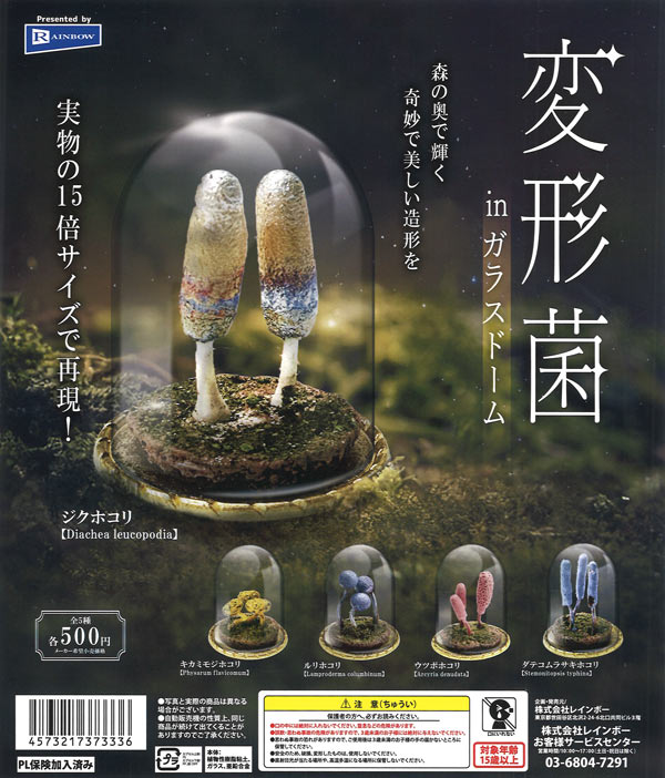 変形菌 in ガラスドーム（20個入り）【ﾚｲﾝﾎﾞｰ】カプセルトイ