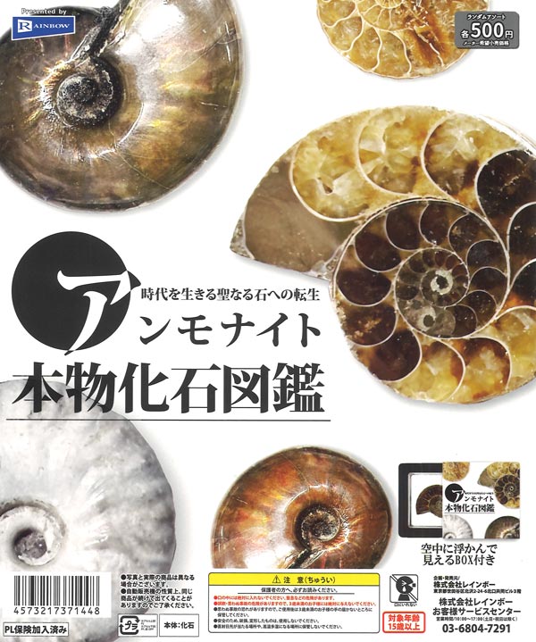 アンモナイト本物化石図鑑（20個入り）【ﾚｲﾝﾎﾞｰ】 | ガチャガチャ通販