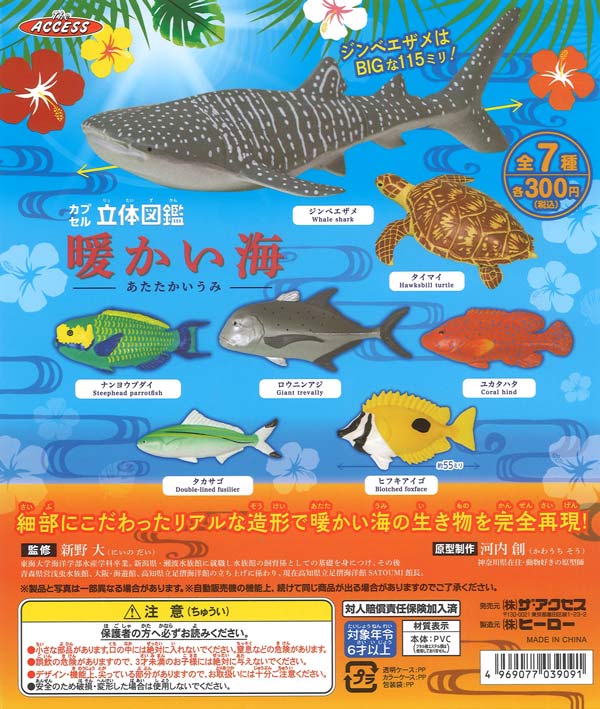再販》立体図鑑暖かい海（40個入り）【ｻﾞｱｸｾｽ】カプセルトイ