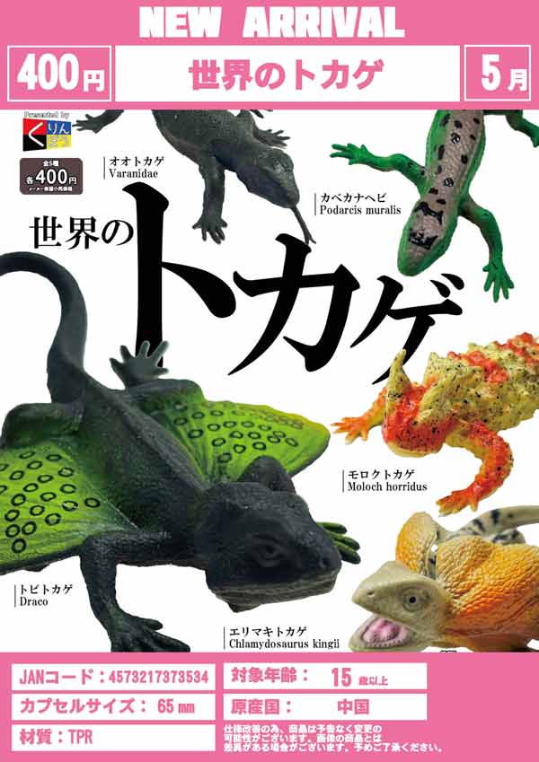 5月発売】【二次予約】世界のトカゲ（30個入り）【くりんぼう