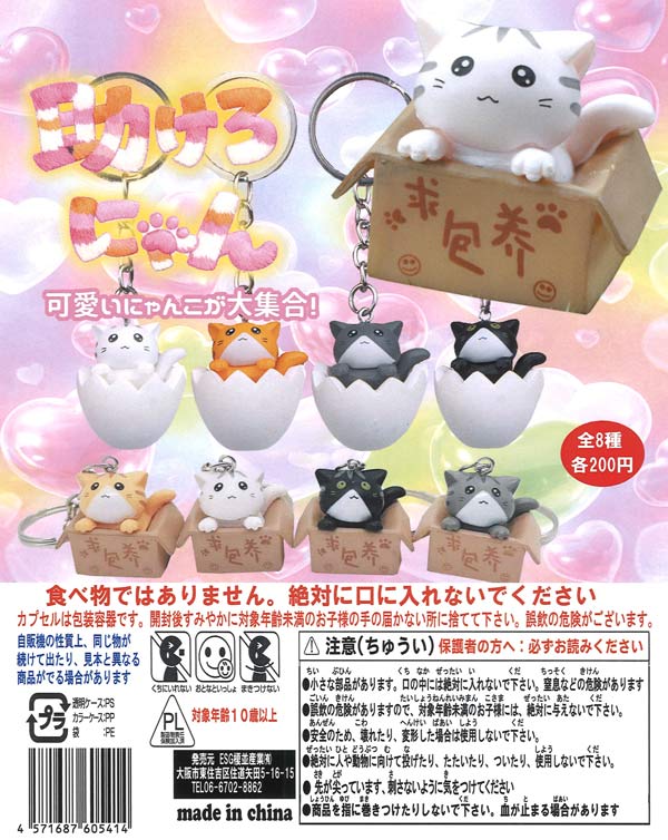多聞くん今どっち? アクリルキーチェーン（50個入り） | ガチャガチャ