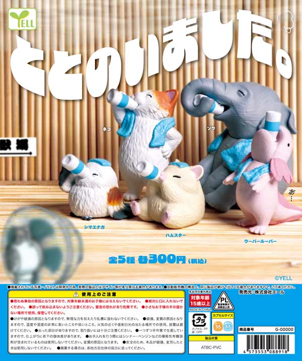 7月先行受注】【二次予約】《再販》ととのいました。（40個入り）【ｴｰﾙ