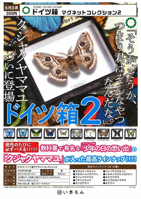 6月発売】【二次予約】ドイツ箱 マグネットコレクション2（40個入り