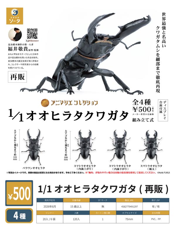 6月発売】【二次予約】《再販》1/1オオヒラタクワガタ（20個入り）【SO