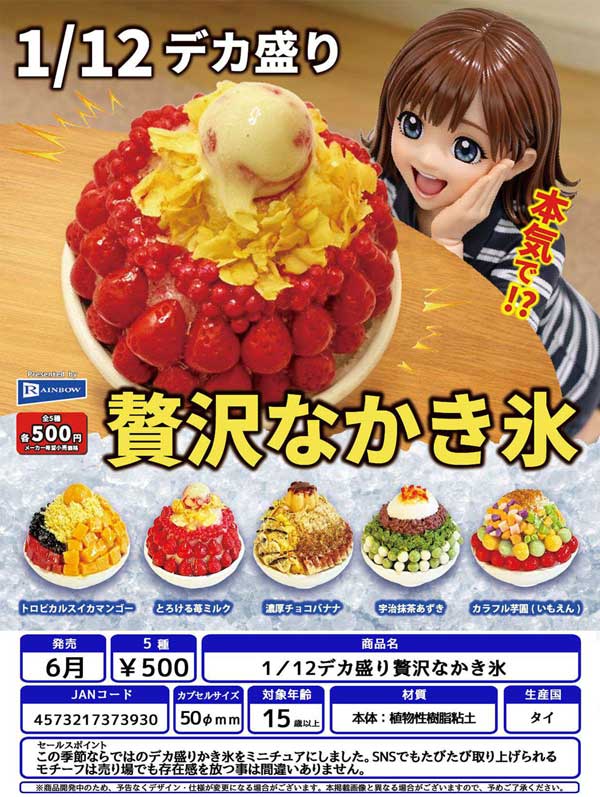 6月発売】【二次予約】1/12デカ盛り贅沢なかき氷（20個入り）【ﾚｲﾝﾎﾞｰ