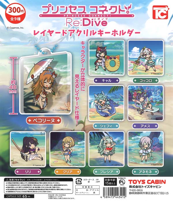 プリンセスコネクト！Re:Dive レイヤードアクリルキーホルダー（40個