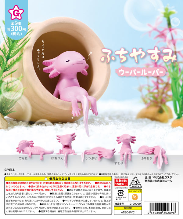 ふちやすみ ウーパールーパー