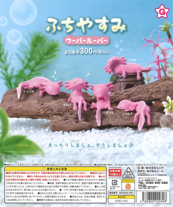 ポケモン カントーいっぱいコレクション プラス（40個入り）【ﾀｶﾗﾄﾐｰ