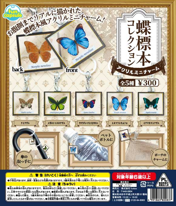 蝶標本コレクション アクリルミニチャーム（40個入り）【funbox