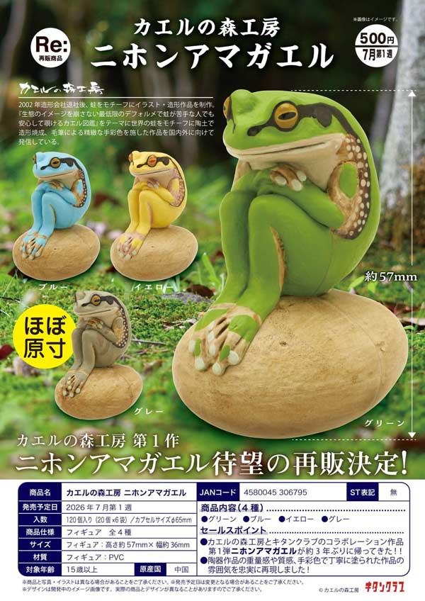 木曜発送 カエルさん専用 7月発売】【二次予約】《再販》カエルの森工房 二ホンアマガエル（20個