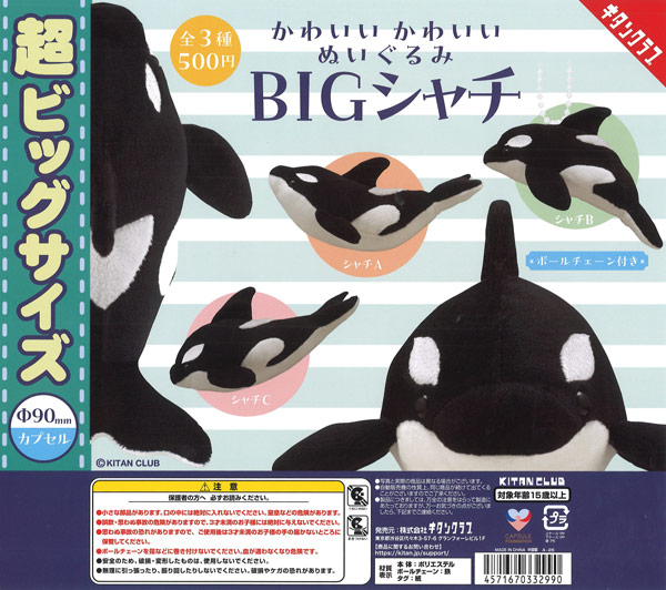 ☆90mmカプセル☆《再販》かわいい かわいい ぬいぐるみ BIG～シャチ
