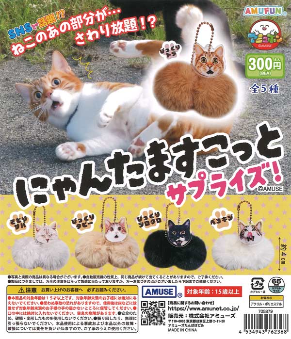 にゃんたますこっとサプライズ（40個入り）【ｱﾐｭｰｽﾞ】カプセルトイ