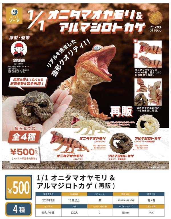 1/1オニタマオヤモリ&アルマジロトカゲ