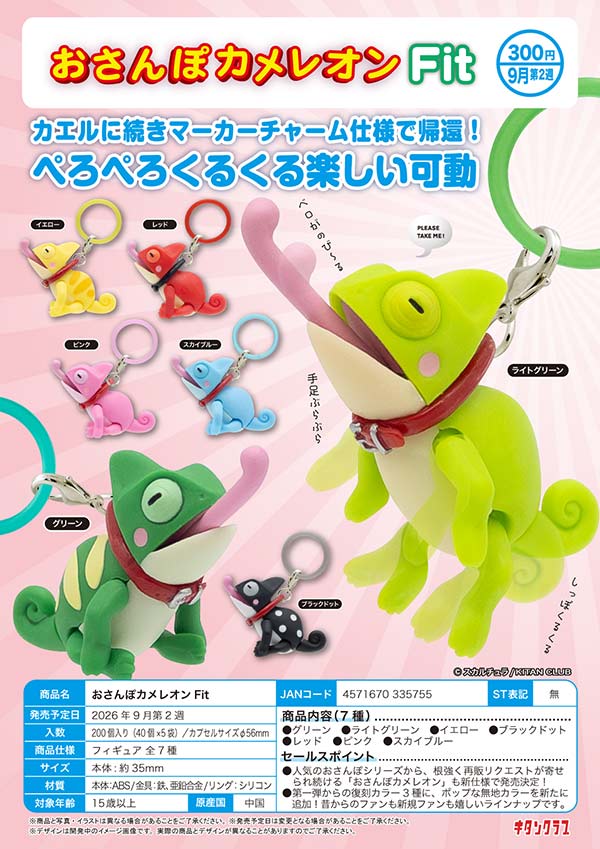 9月発売】【正規予約】おさんぽカメレオン Fit（40個入り）【ｷﾀﾝｸﾗﾌﾞ