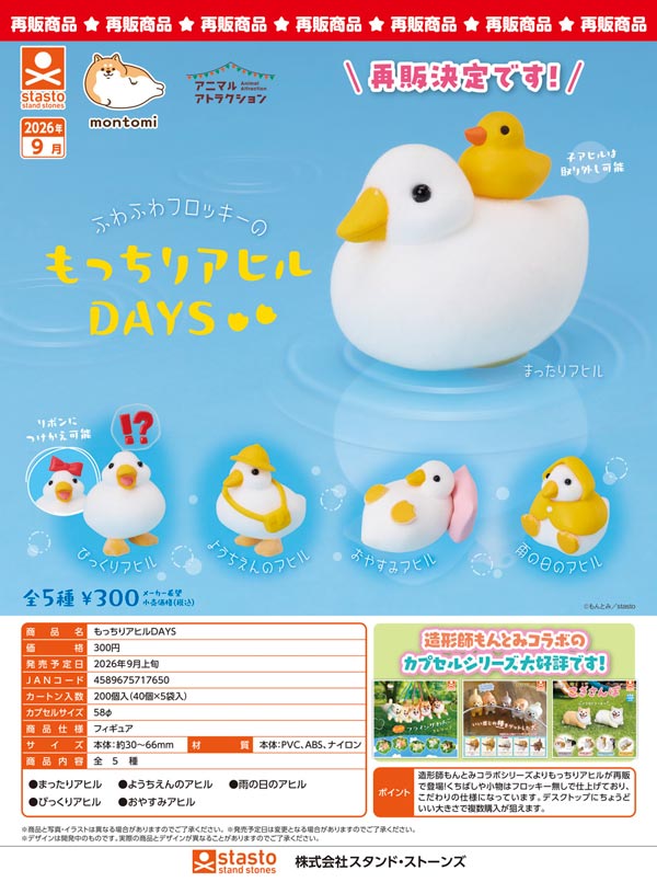9月発売】【正規予約】《再販》もっちりアヒルDAYS（40個入り）【ｽﾀﾝﾄﾞ