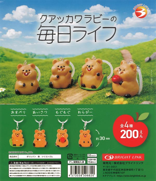 ☆秋ｸｰﾎﾟﾝ対象☆クアッカワラビーの毎日ライフ（50個入り）【ﾌﾞﾗｲﾄﾘﾝｸ