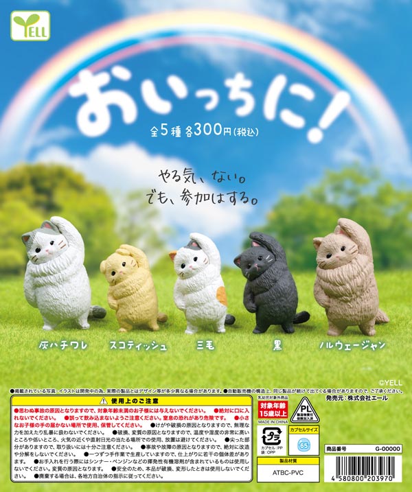 10月発売】【正規予約】おいっちに！（40個入り）【ｴｰﾙ】カプセルトイ