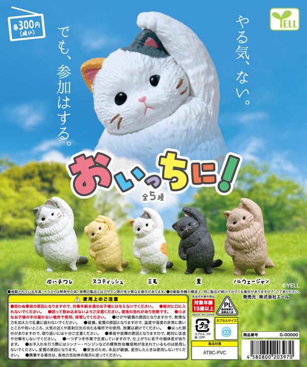 10月発売】【二次予約】おいっちに！（40個入り）【ｴｰﾙ】カプセルトイ