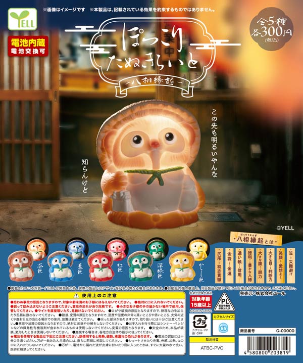 10月発売】【正規予約】ぽっこりたぬきらいと～八相縁起～（40個入り