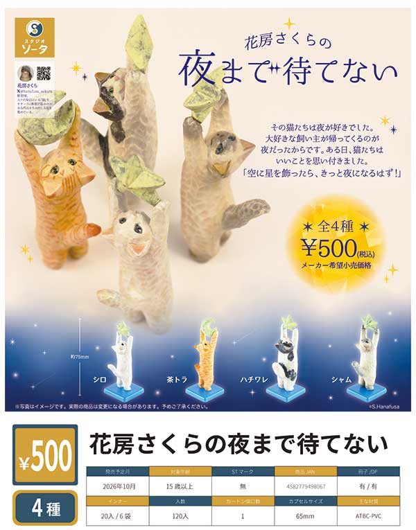 花房さくらの夜まで待てない