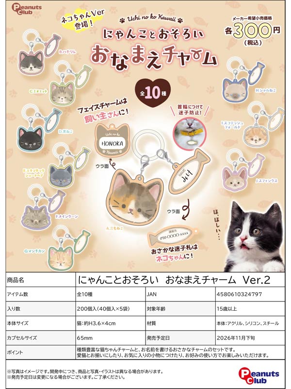 11月発売】【正規予約】にゃんことおそろいおなまえチャーム Ver.2（40