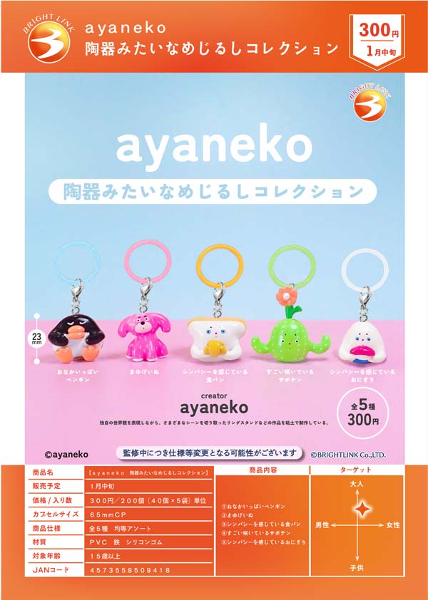 1月発売】【正規予約】ayaneko 陶器みたいなめじるしコレクション（40