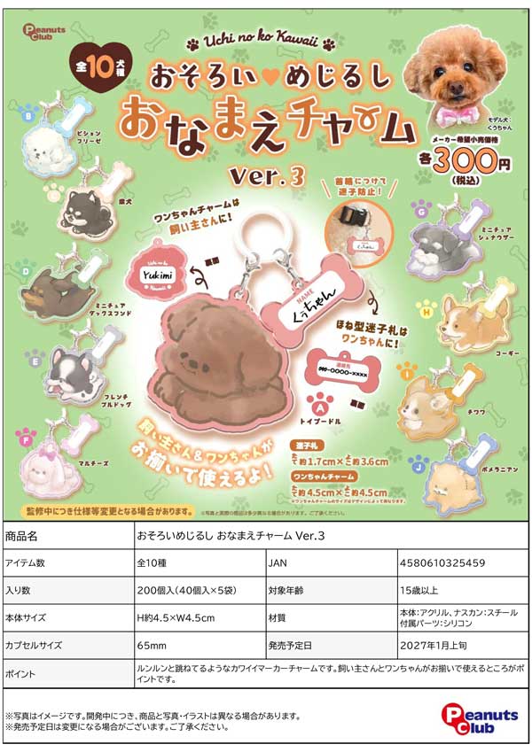 1月発売】【正規予約】おそろいめじるし おなまえチャーム Ver.3（40