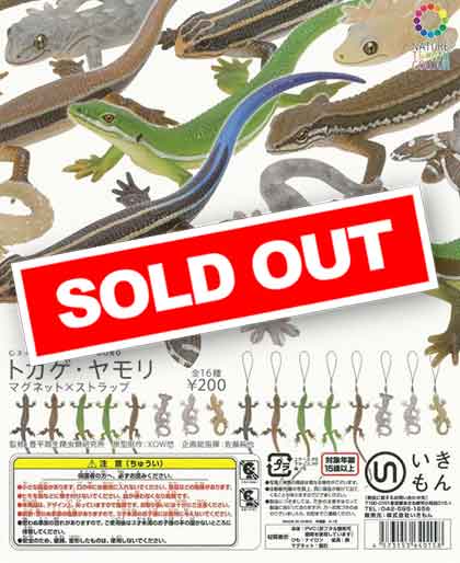 ネイチャーテクニカラーMONO トカゲ・ヤモリ マグネット