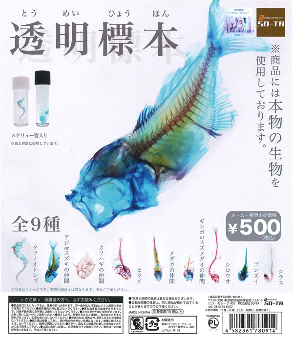 透明標本 （40個入り） | カプセルトイ・カプセルトイ自販機・空