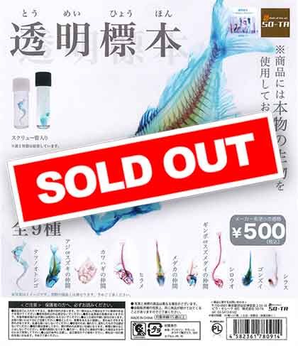 透明標本 （40個入り） | ガチャガチャ通販専門【あミューズ】