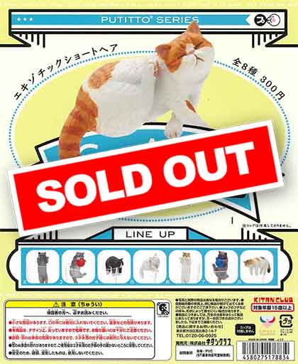 PUTITTO エキゾチックショートヘア （50個入り） | ガチャガチャ