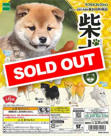 柴犬6 （50個入り） | ガチャガチャ通販専門【あミューズ】