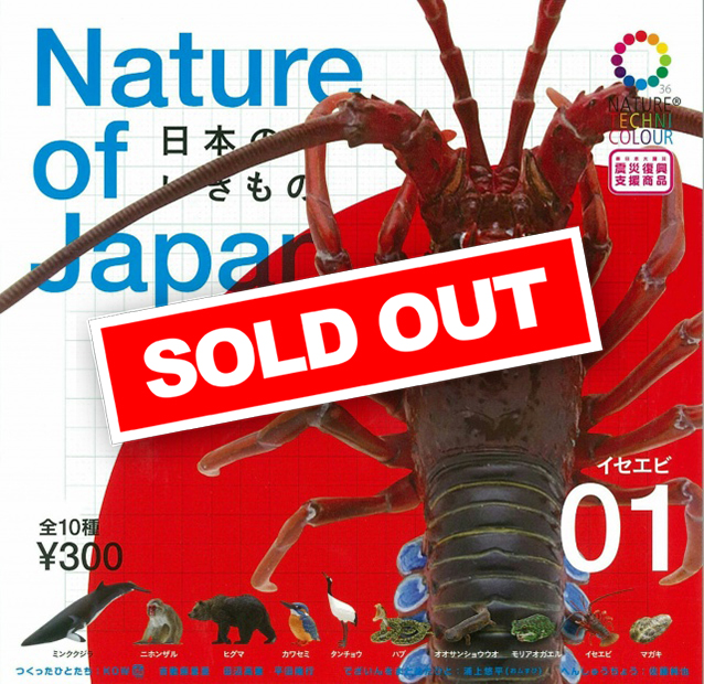 NTC Nature of Japan 日本のいきもの 01 (50個入り